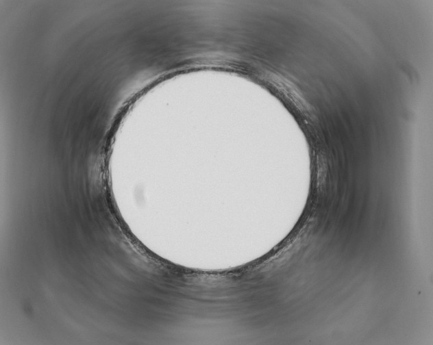 X0000111431164200908241115