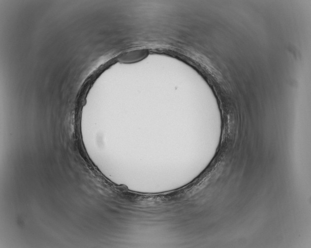 X0000111431165200908241115