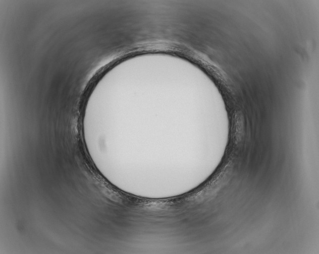 X0000111431166200908241115