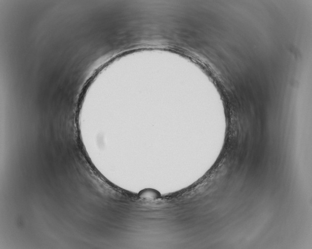 X0000111431168200908241115