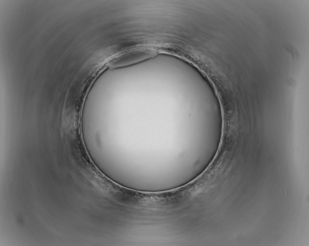 X0000111431169200908241115