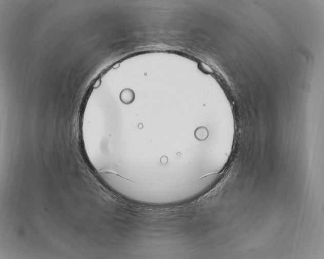 X0000111431173200908241115