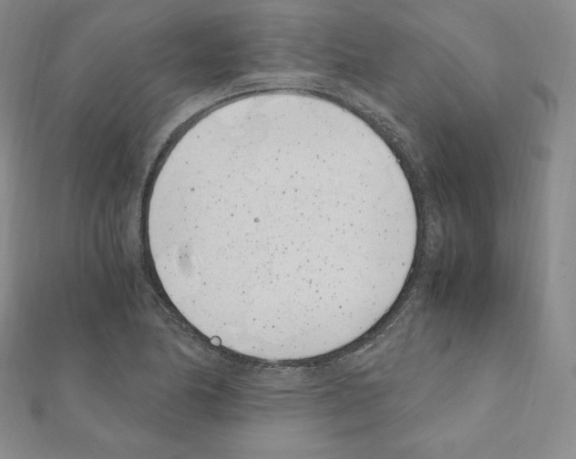 X0000111431174200908241115