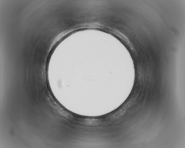 X0000111431176200908241115