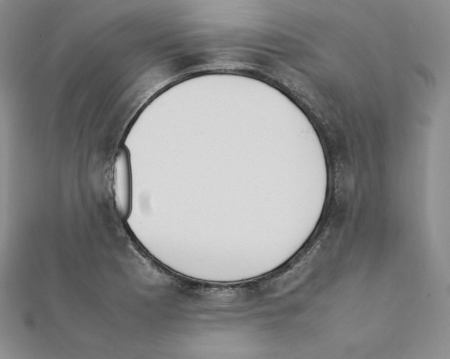 X0000111431177200908241115