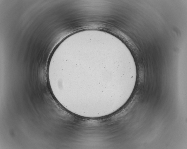 X0000111431178200908241115