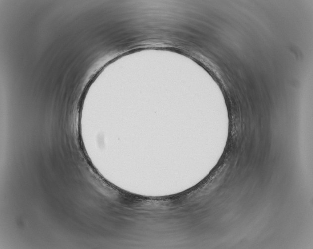 X0000111431179200908241115