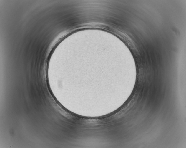 X0000111431180200908241115