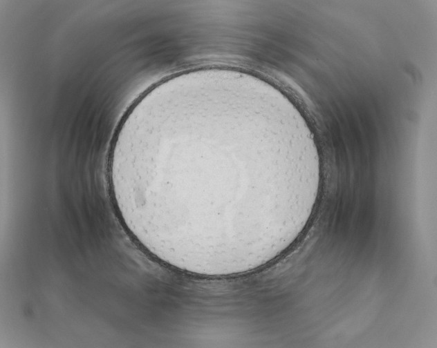 X0000111431182200908241115