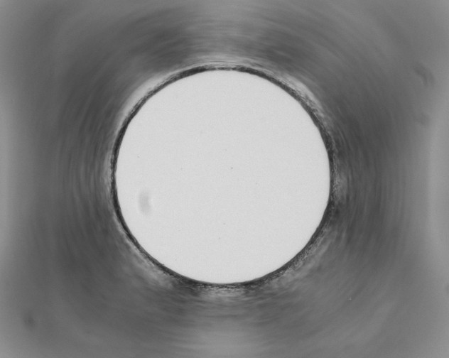 X0000111431183200908241115
