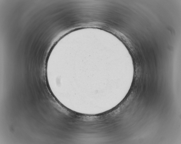X0000111431184200908241115