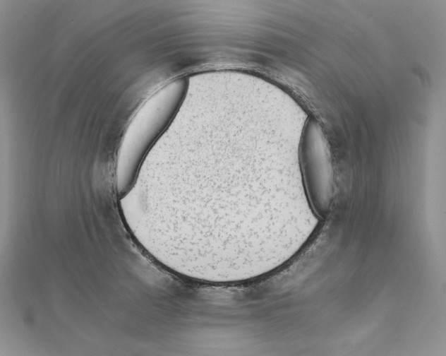 X0000111431185200908241115
