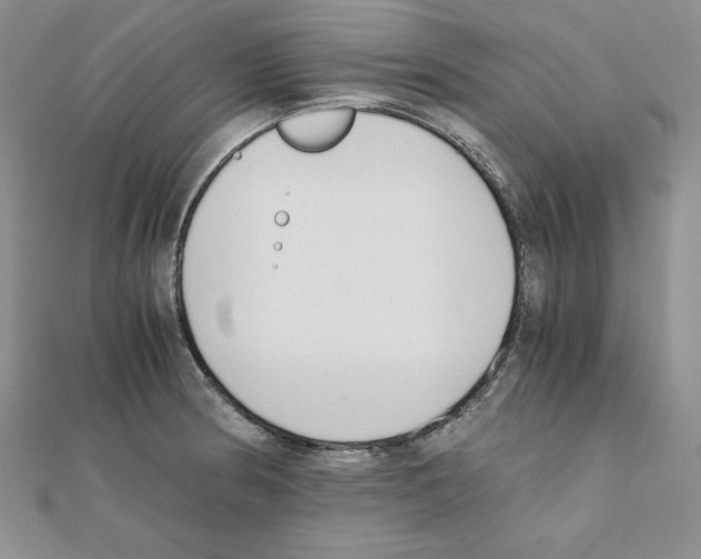 X0000111431186200908241115
