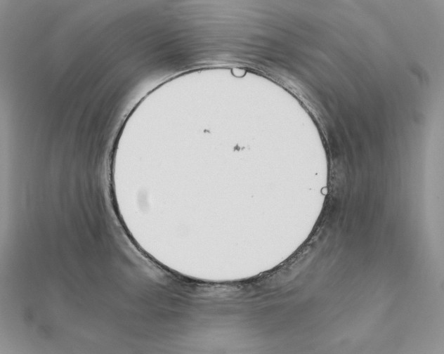X0000111431187200908241115