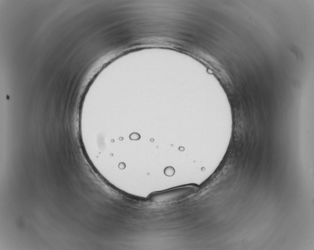 X0000111431188200908241115