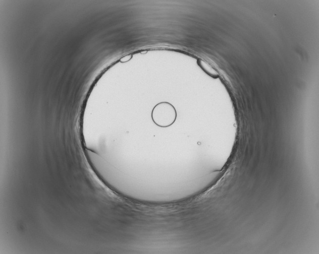 X0000111431189200908241115
