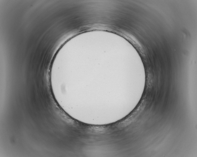 X0000111431190200908241115