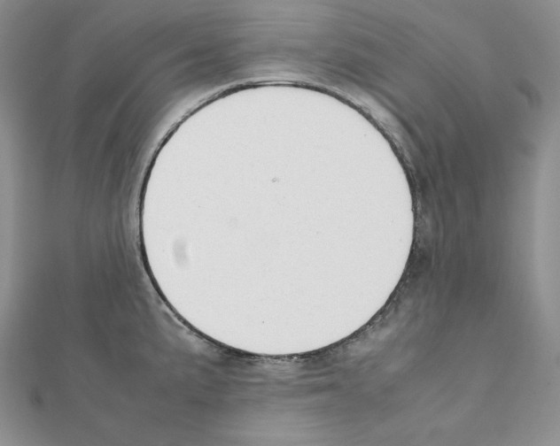 X0000111431191200908241115