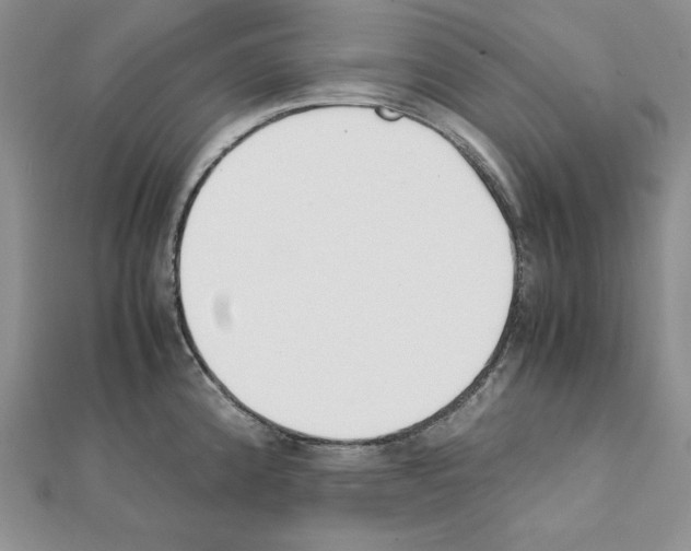 X0000111431192200908241115