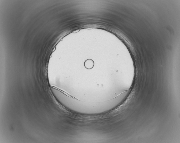 X0000111431193200908241115