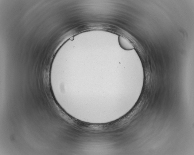 X0000111431194200908241115
