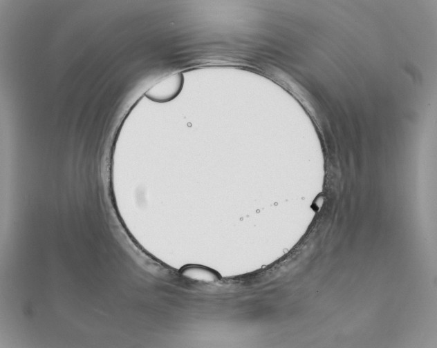 X0000111431195200908241115
