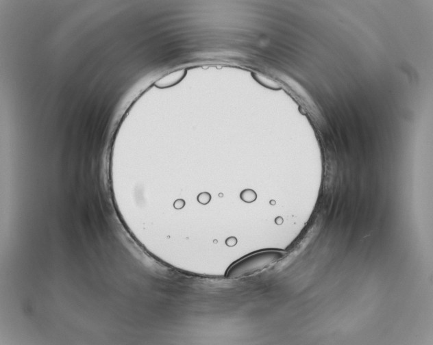 X0000111431196200908241115