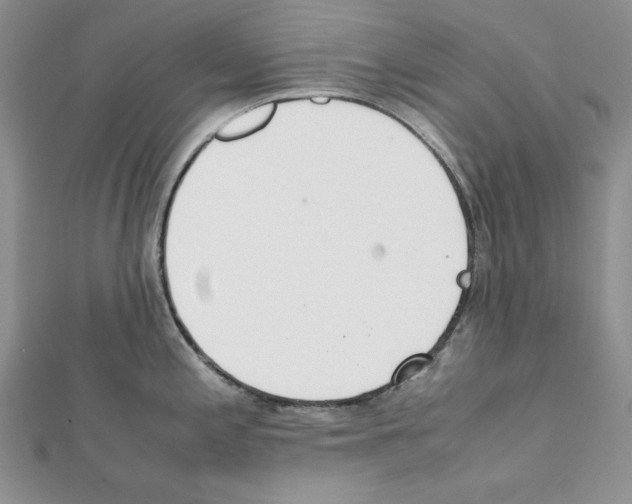X0000111431197200908241115