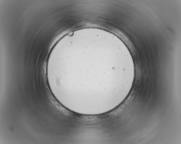 X0000111431198200908241115