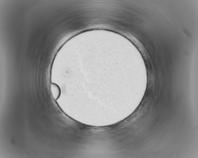 X0000111431199200908241115