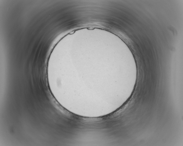 X0000111431200200908241115