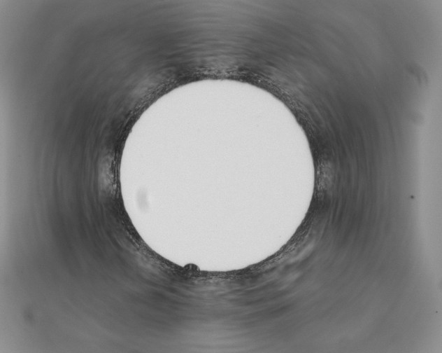 X0000111431202200908241114