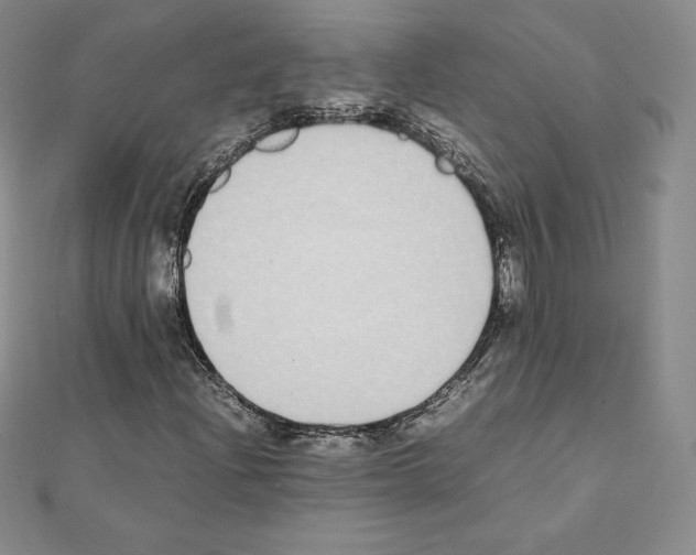 X0000111431204200908241114