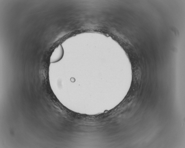 X0000111431206200908241114