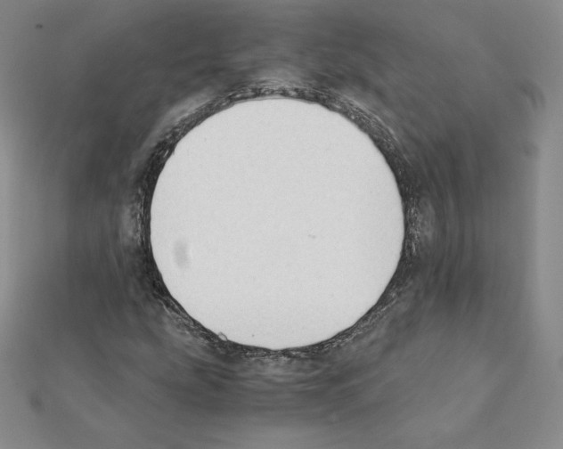 X0000111431207200908241114