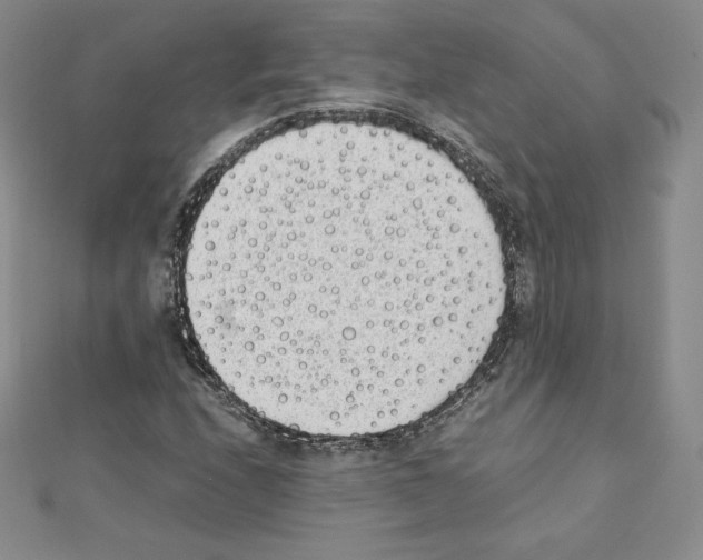 X0000111431208200908241114