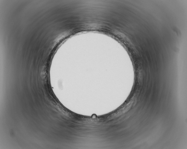 X0000111431210200908241114