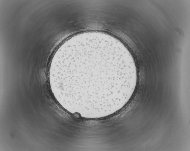 X0000111431212200908241114