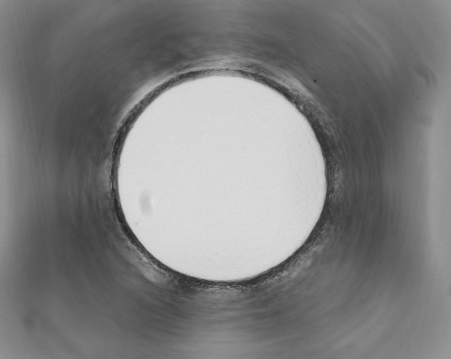 X0000111431216200908241114