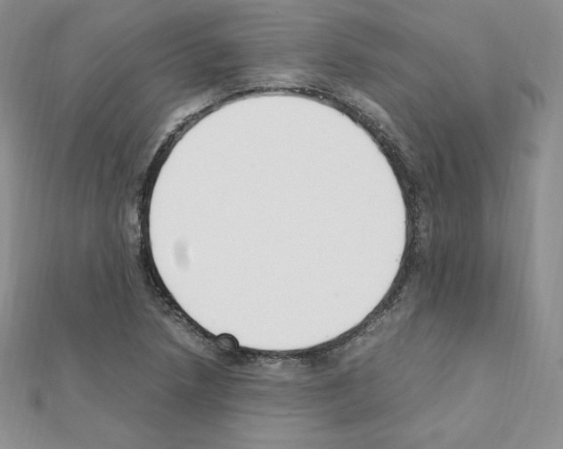 X0000111431218200908241114