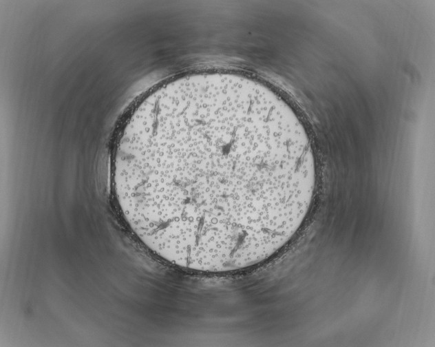 X0000111431219200908241114