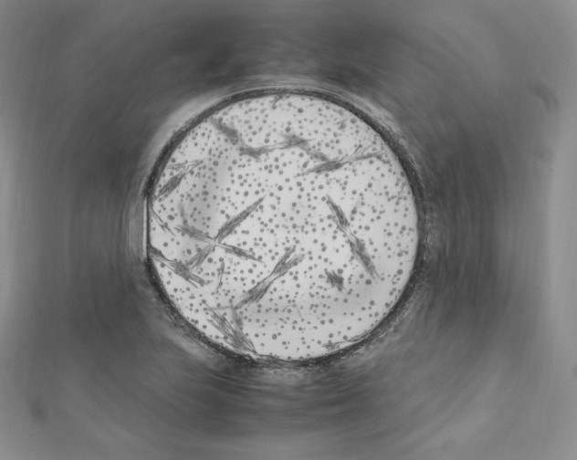 X0000111431223200908241114