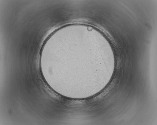 X0000111431224200908241114