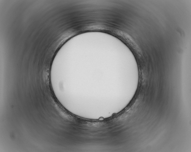 X0000111431225200908241114