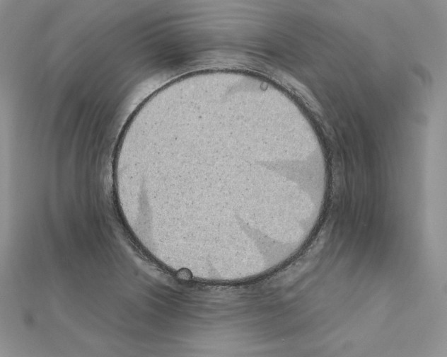 X0000111431226200908241114