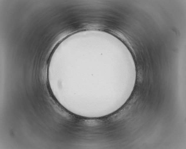 X0000111431227200908241114
