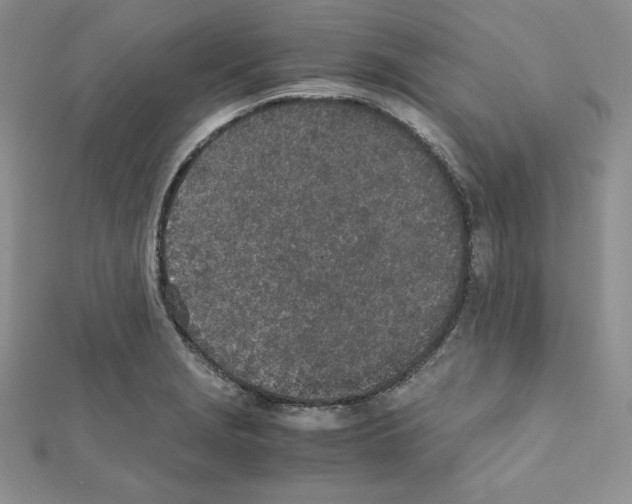 X0000111431229200908241114