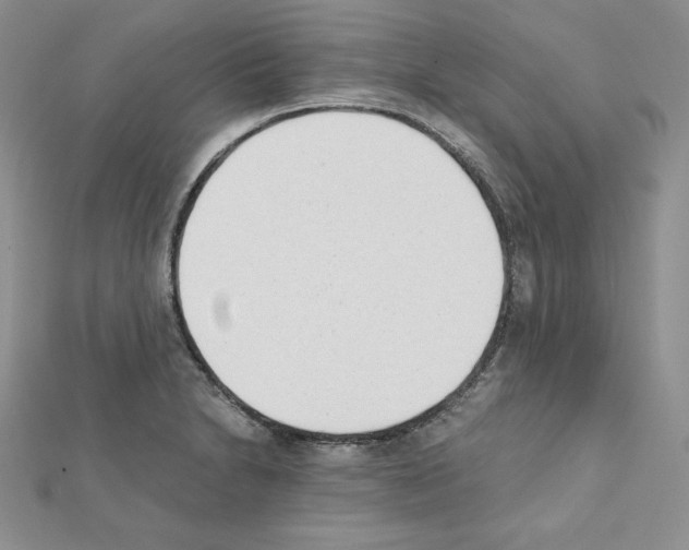 X0000111431230200908241114