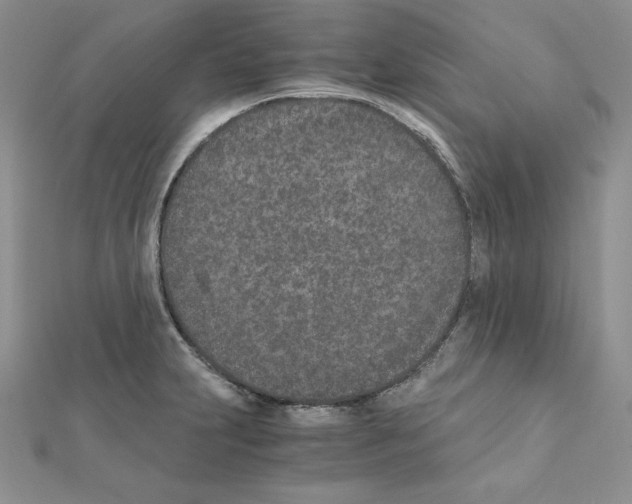 X0000111431231200908241114
