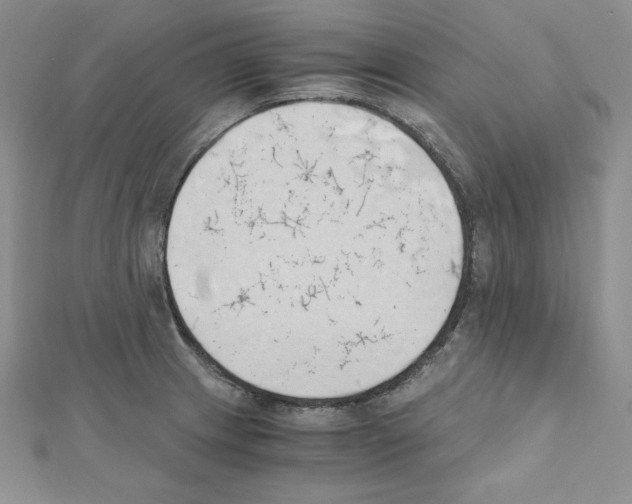 X0000111431233200908241115